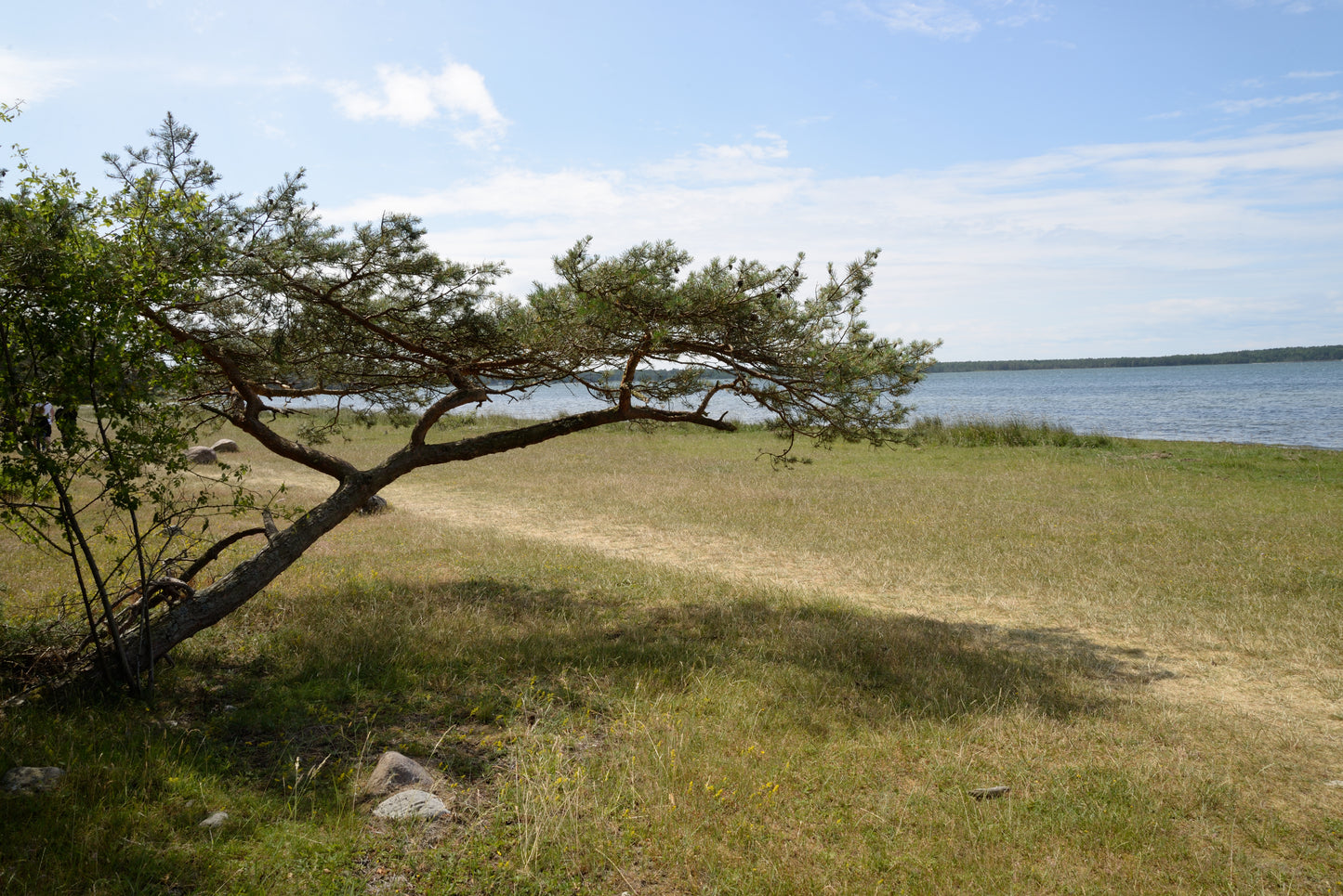 Nosework Läger på Öland, 24–26 juni