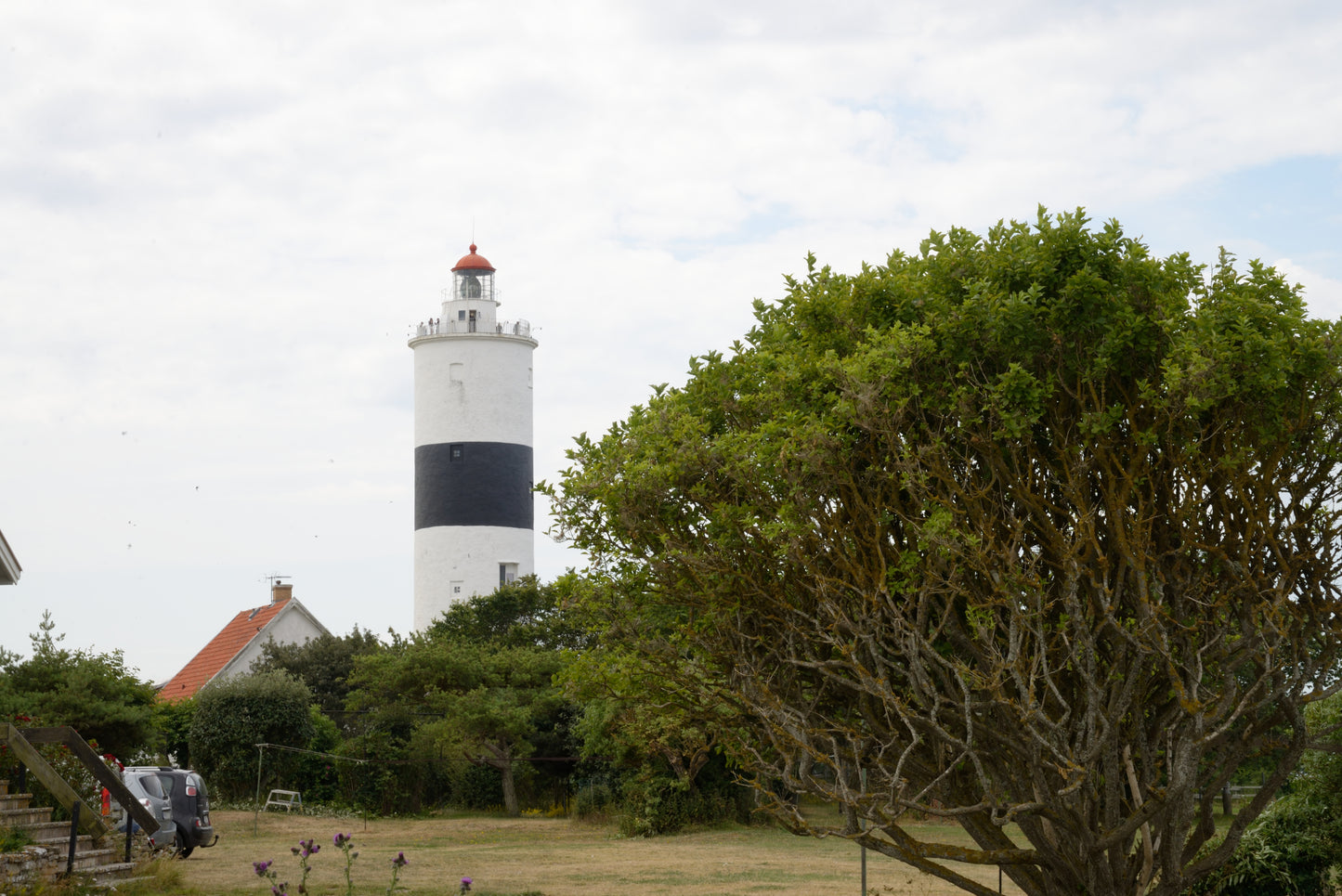 Nosework Läger på Öland, 24–26 juni