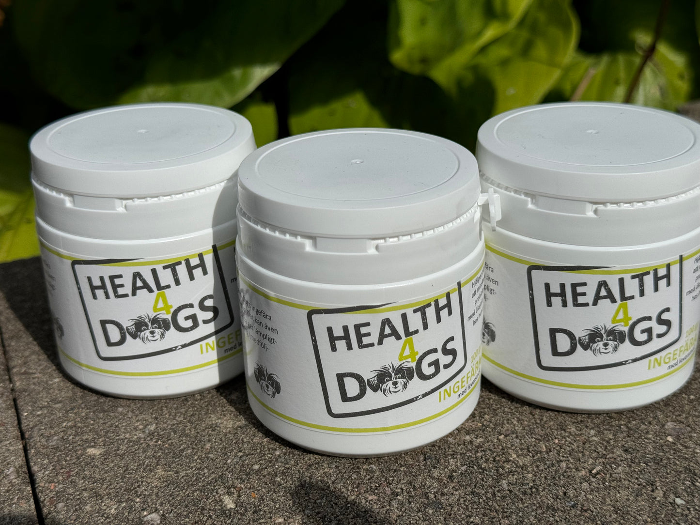 Health4Dogs Ingefära