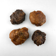 Swedish Bully Balls