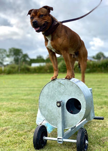 BPH - Beteende- och Personlighets-beskrivning Hund