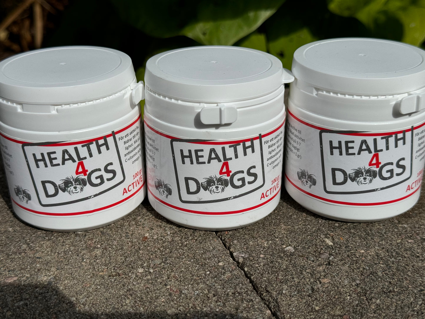 Health4Dogs Active
