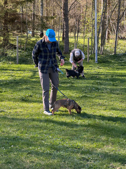 Vandring eller Viltspår på Kroppefjäll