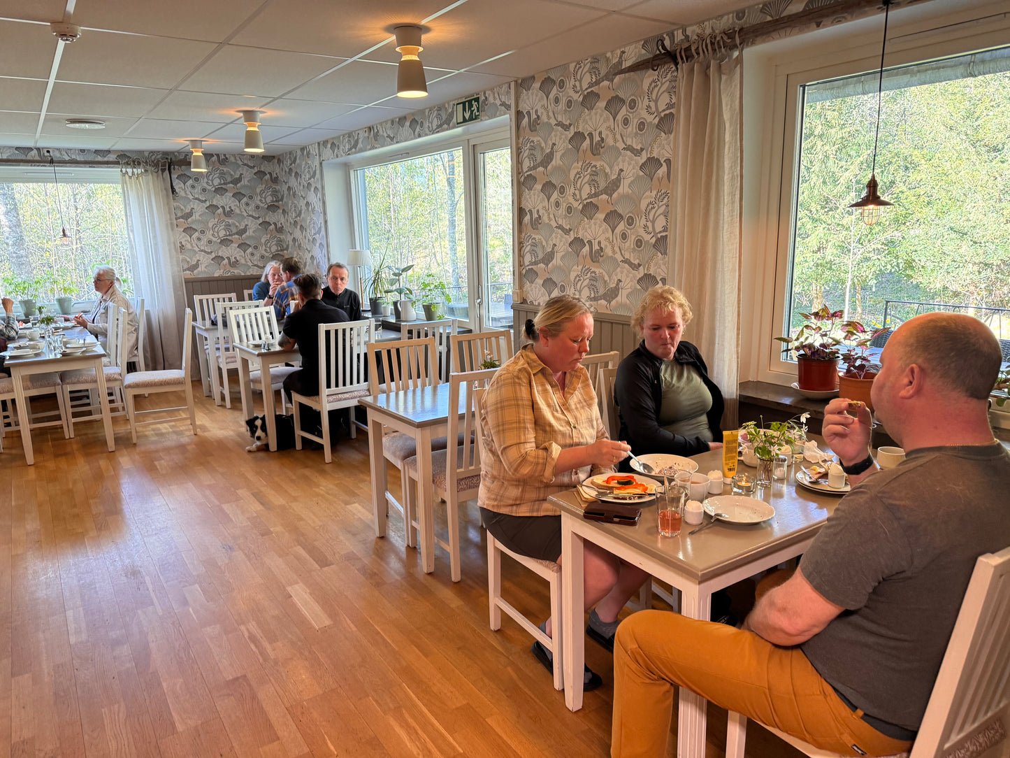 Vandring eller Viltspår på Kroppefjäll