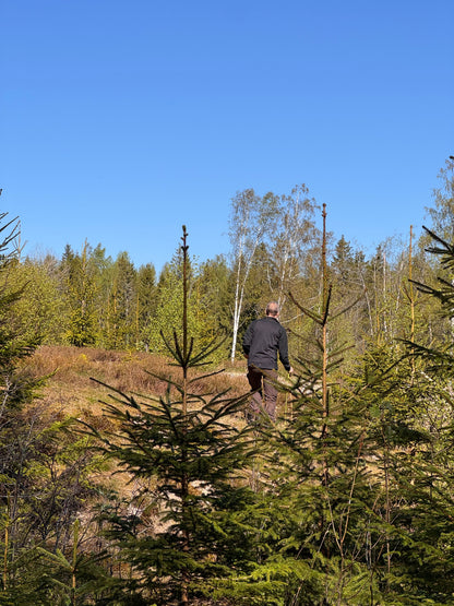 Vandring eller Viltspår på Kroppefjäll