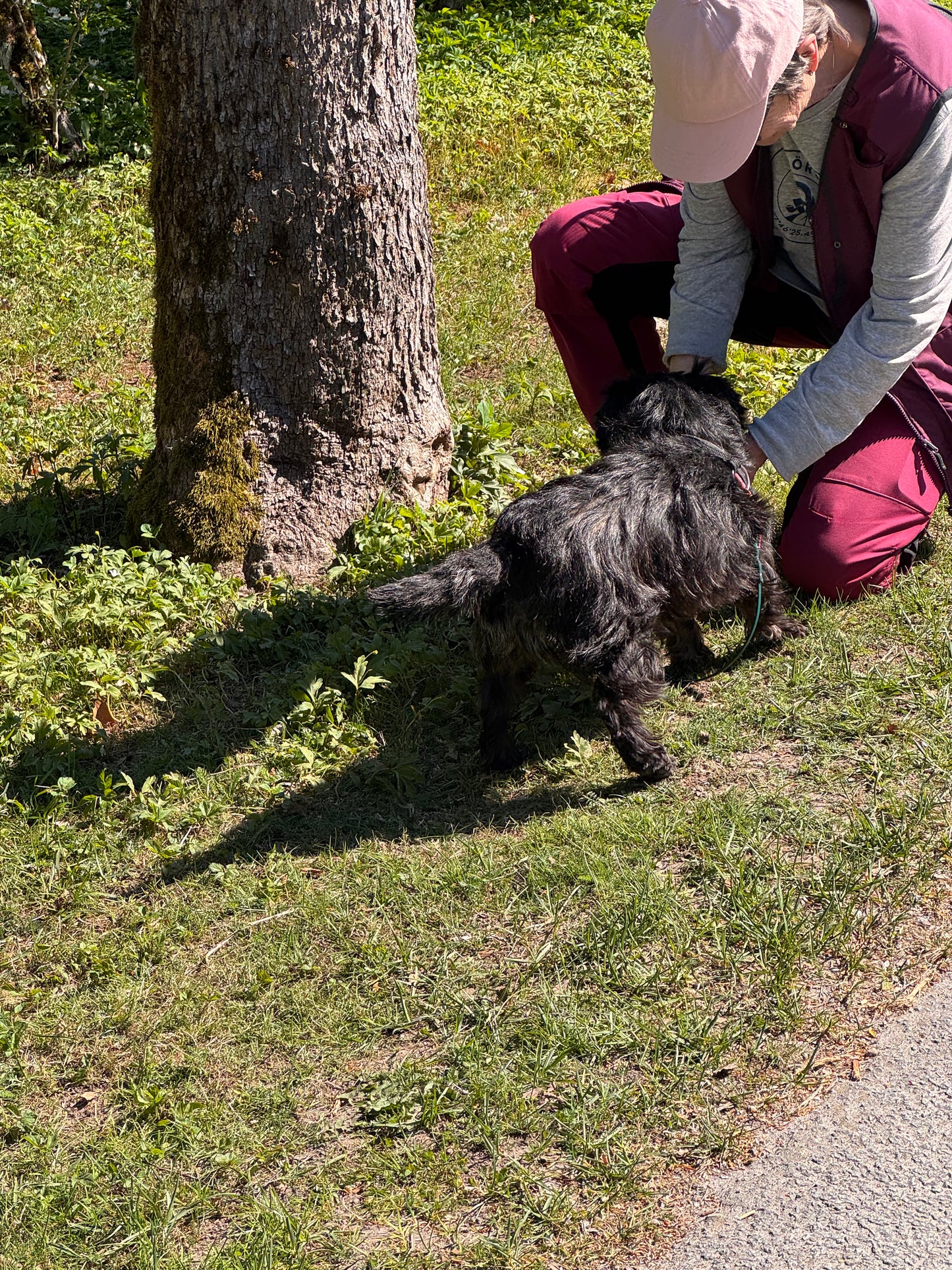 Vandring eller Viltspår på Kroppefjäll