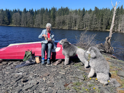 Vandring eller Viltspår på Kroppefjäll