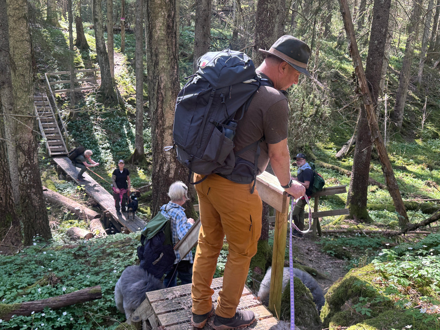 Vandring eller Viltspår på Kroppefjäll