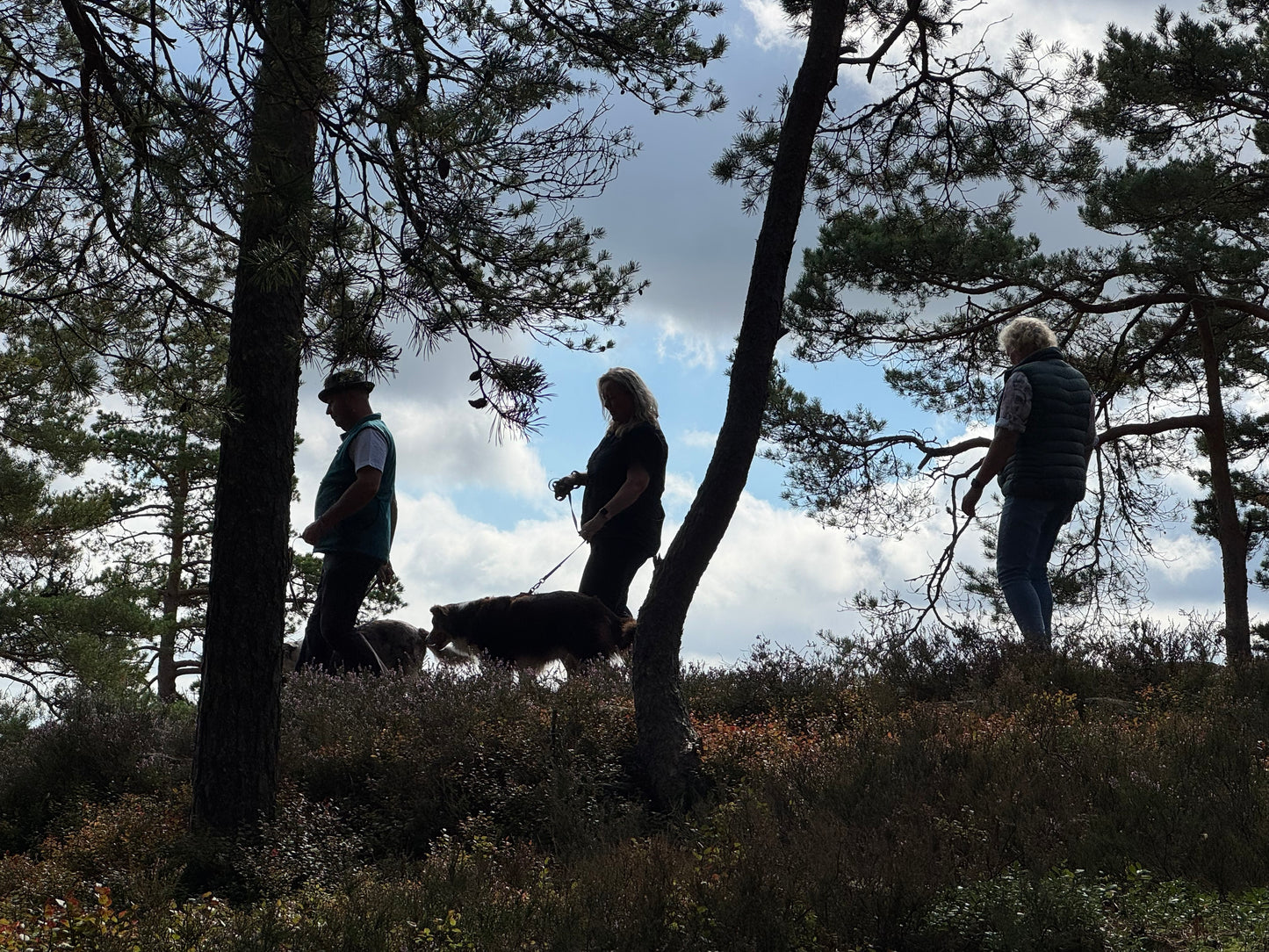 Vandring eller Viltspår på Kroppefjäll