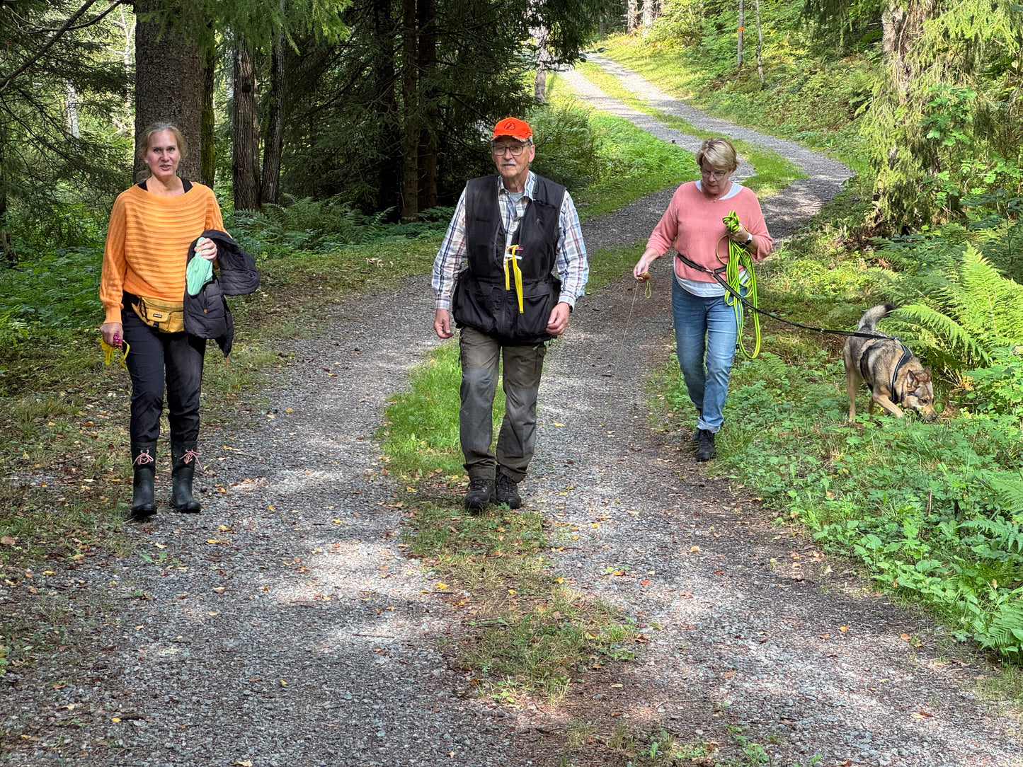 Vandring eller Viltspår på Kroppefjäll