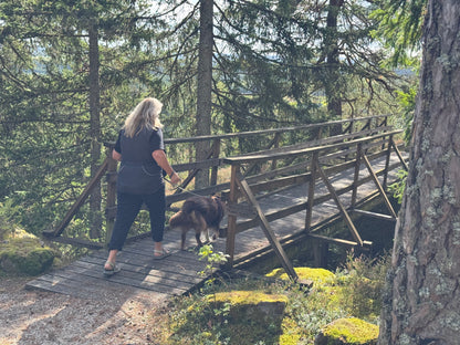 Vandring eller Viltspår på Kroppefjäll