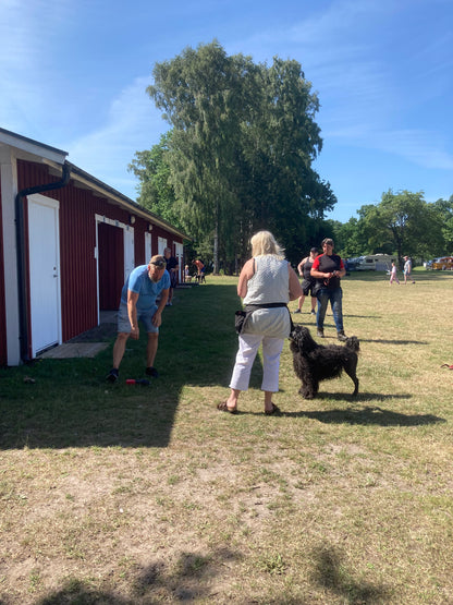 Nosework Läger på Öland, 24–26 juni