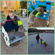 Informationskväll om Sociala tjänstehundar