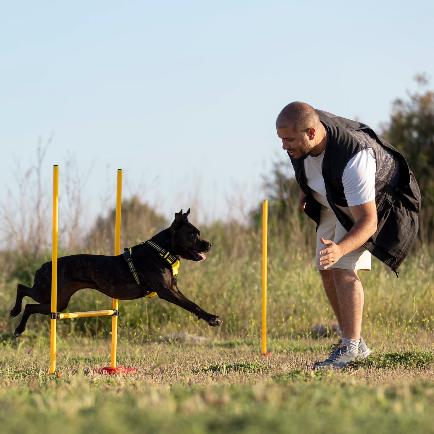 Kurs: Fortsättning i Agility