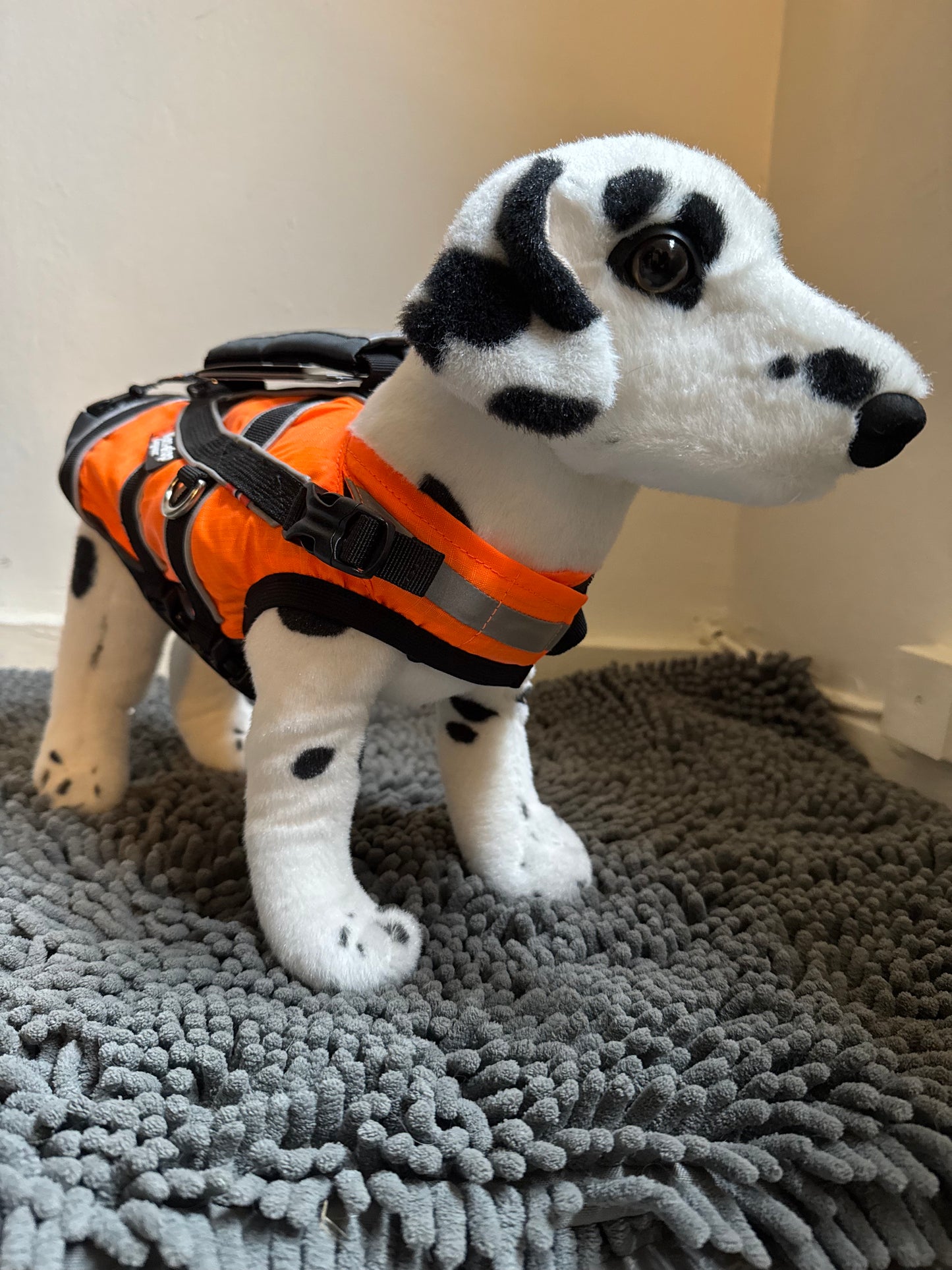 Safe life jacket