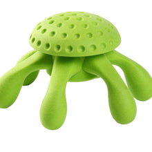 Kiwi Octopus