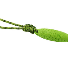 Kiwi Zeppelin