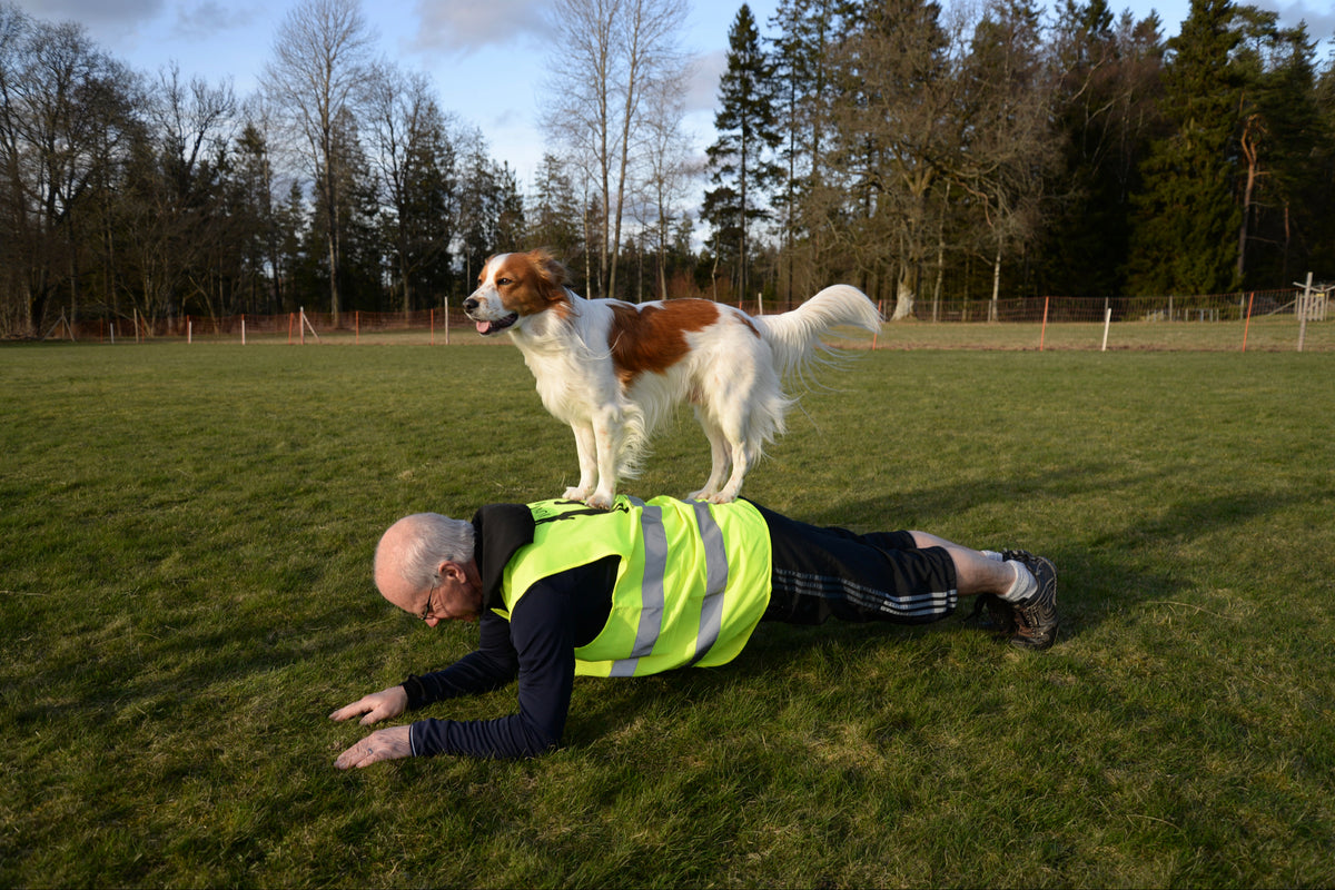 Gympa med Hund ®
