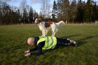 Gympa med Hund ®