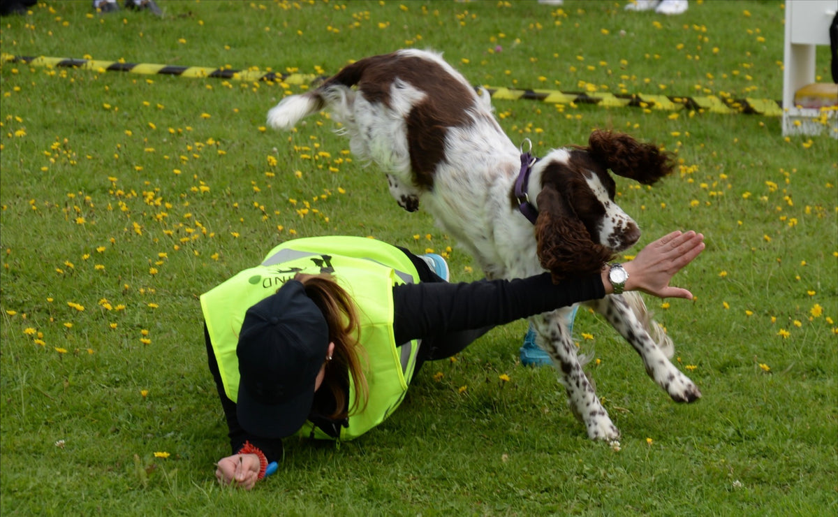 Gympa med Hund ®