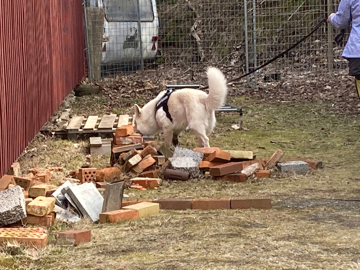 Föreläsning: Med Sikte på Nose Work Klass 2 (NW2)