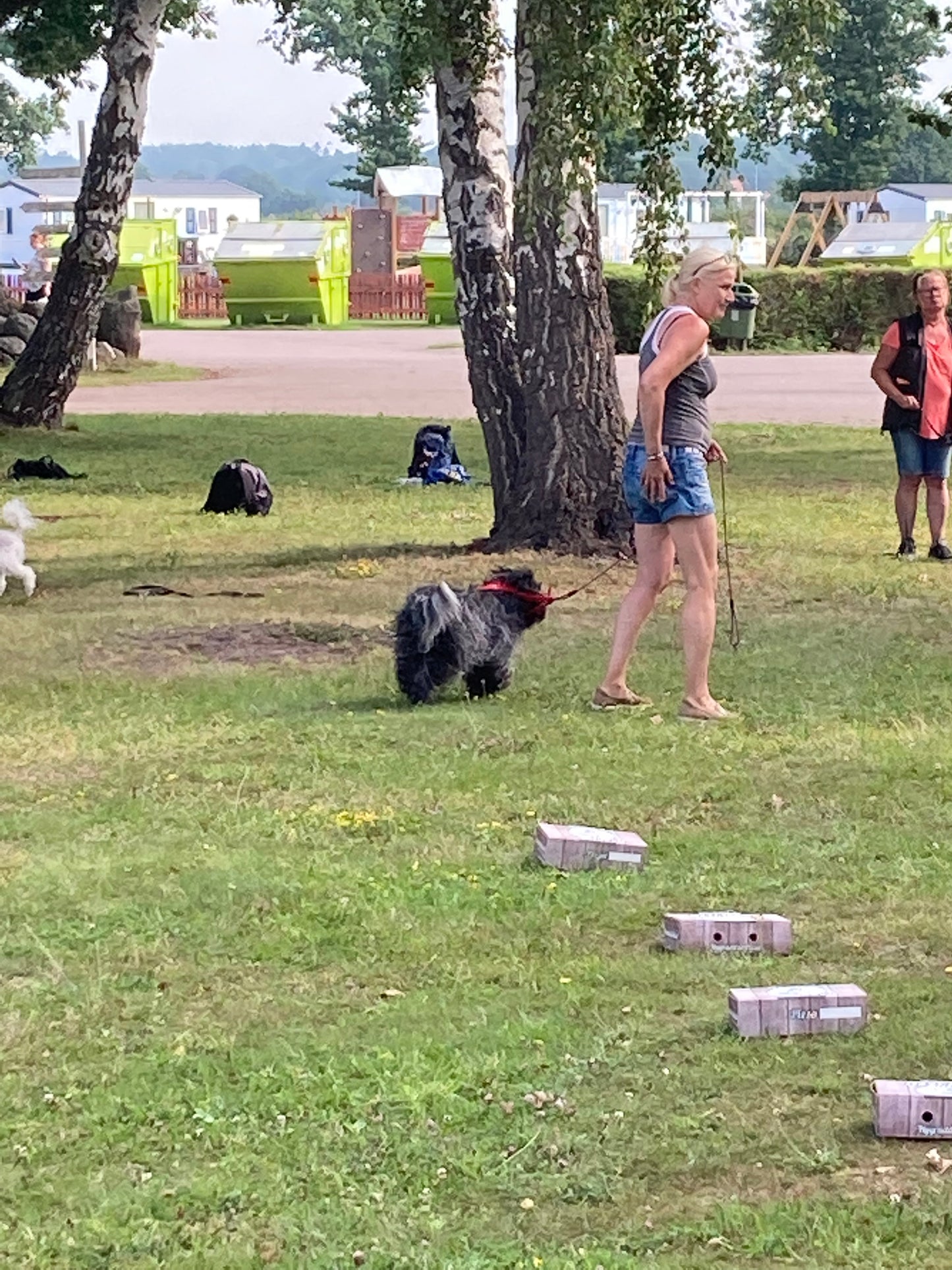 Nosework Läger på Öland, 24–26 juni