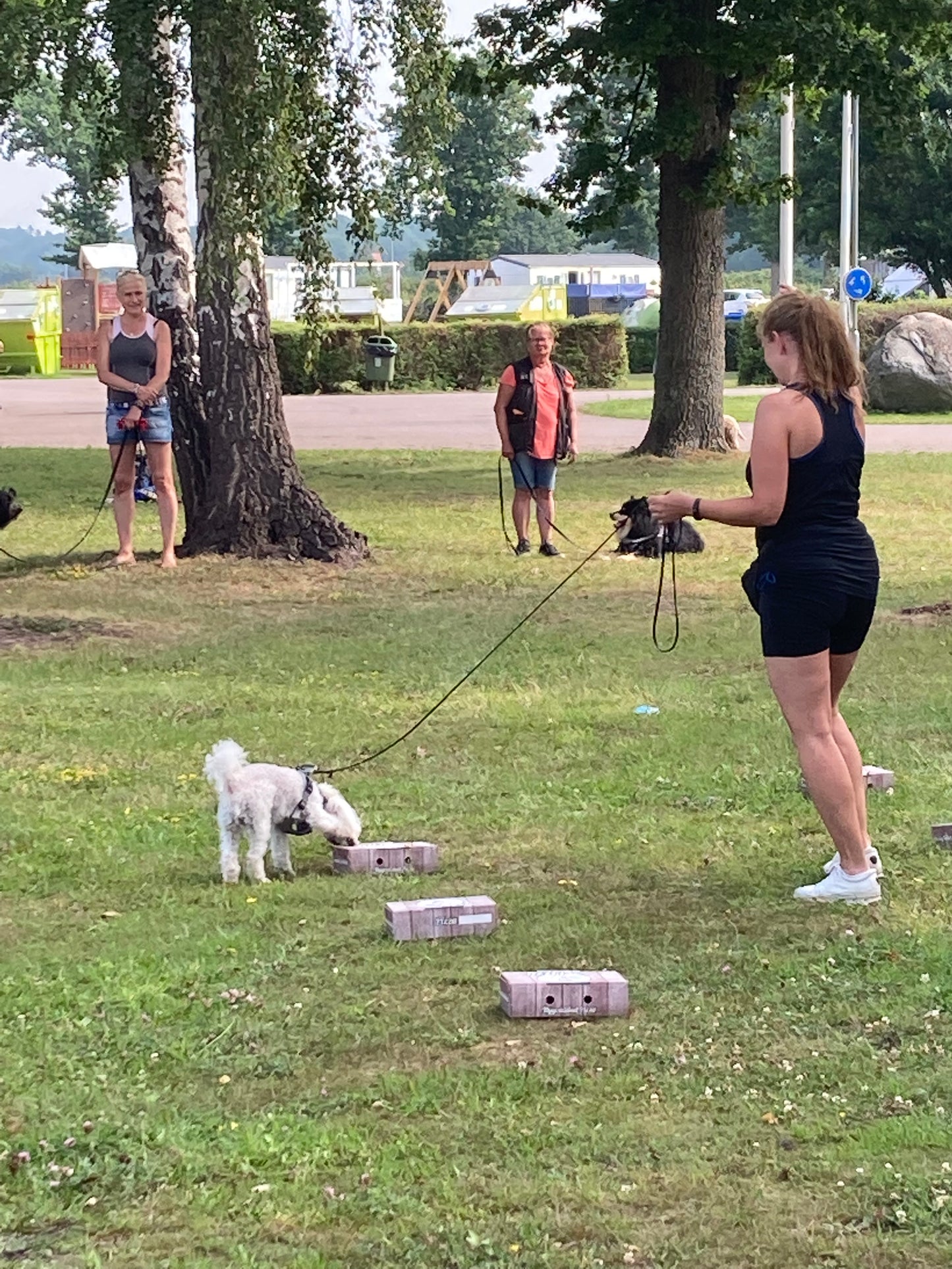 Nosework Läger på Öland, 24–26 juni